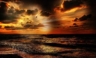 absolutely beautiful Sun Summer