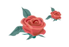 red rose flower nature drawing