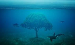 fantastic image of a turtle, killer whale and tree under the ocean
