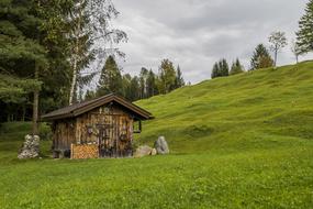 Hut Alpine green grass