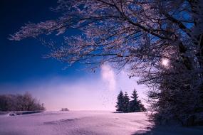 Winter Snow Sunset pink