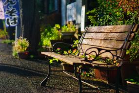 Bench At Dusk