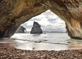 magnificent North Island Nature
