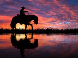 perfect Reflection Dawn