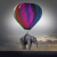 Elephant Weightless Balloon drawing