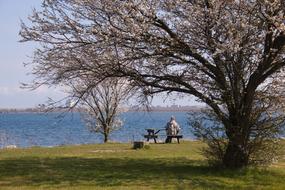 Person on the bench on the beautiful coast with colorful plants