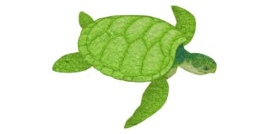 Cute, green turtle of the different shades, clipart