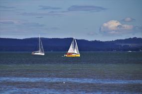 Colorful sailboats in Bodensee lake in Switzerland