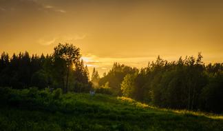 landscape of extraordinarily beautiful sun over the Trees