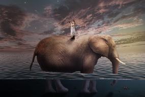 Travel Elephant Child drawing