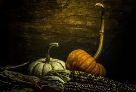 October Pumpkin