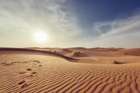 Arid Barren Dawn sand