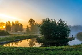 landscape of Tree on lake coast at Dawn