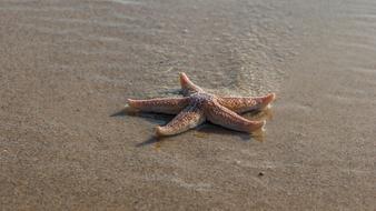 star Water Sea