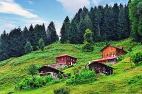 beautiful Mountain Home