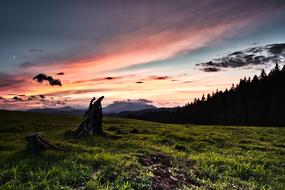 field with green grass during sunset