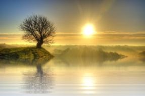 Beautiful landscape of the green shore with the tree, among the water, with the sunset in the sky with clouds