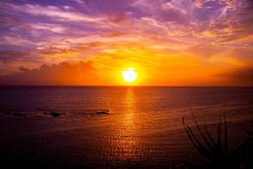 incredibly beautiful Japan Sunset