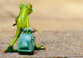 Cute green frog figure with the green luggage