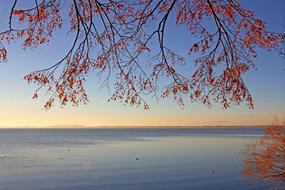 ravishing Lake Chiemsee