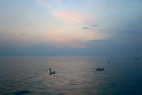 ravishing Evening Lake