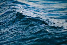 ravishing Clean Wave