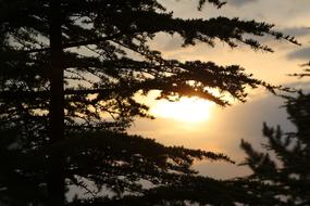 incredibly beautiful Outdoor Sunset Landscape