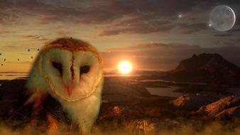 Owl Sun Moon banner