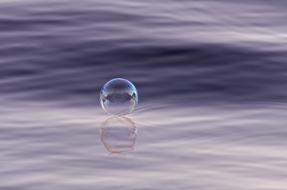 Nature Reflection Wet ball