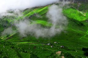 absolutely beautiful green KaÃ§kars