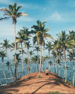 Palm Tropical Beach person