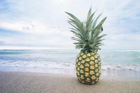 wonderful Fruit Lake