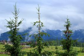 perfect Mountains View