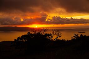 golden sunset off the coast of Hawaii