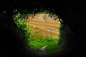 perfect Landscape Field Nature