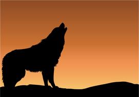 wolf howling sunset drawing