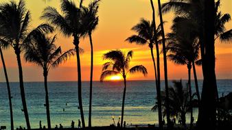 absolutely beautiful Maui Sunset