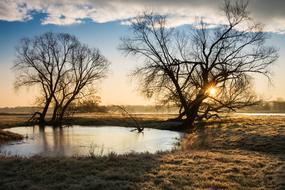Beautiful and colorful landscape with the water among the plants at dawn