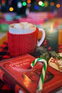 Christmas mug of hot chocolate with marshmallows and a book on the table