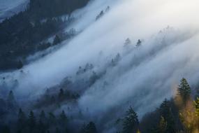 Fog Nebellandschaft Wave