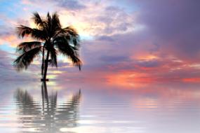 perfect Sunset Sea Nature