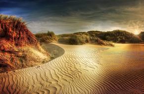 wonderful Dunes Beach North Sea