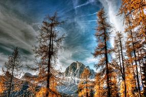 Dolomites Tofane Nature