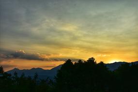 Sunset Golden Yellow