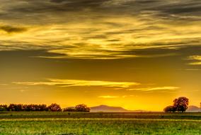 Sunset Mood Dusk yellow
