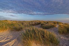 absolutely beautiful Landscape Summer