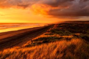 New Zealand Sunset orange