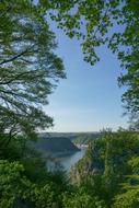 Loreley forest Views