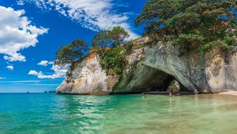 Beach New Zealand Water