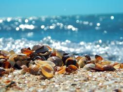 incredibly beautiful sea Summer